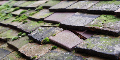 Middle Weald roof repair costs